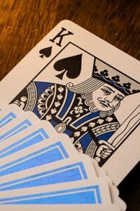 Spder konge under kortspil
